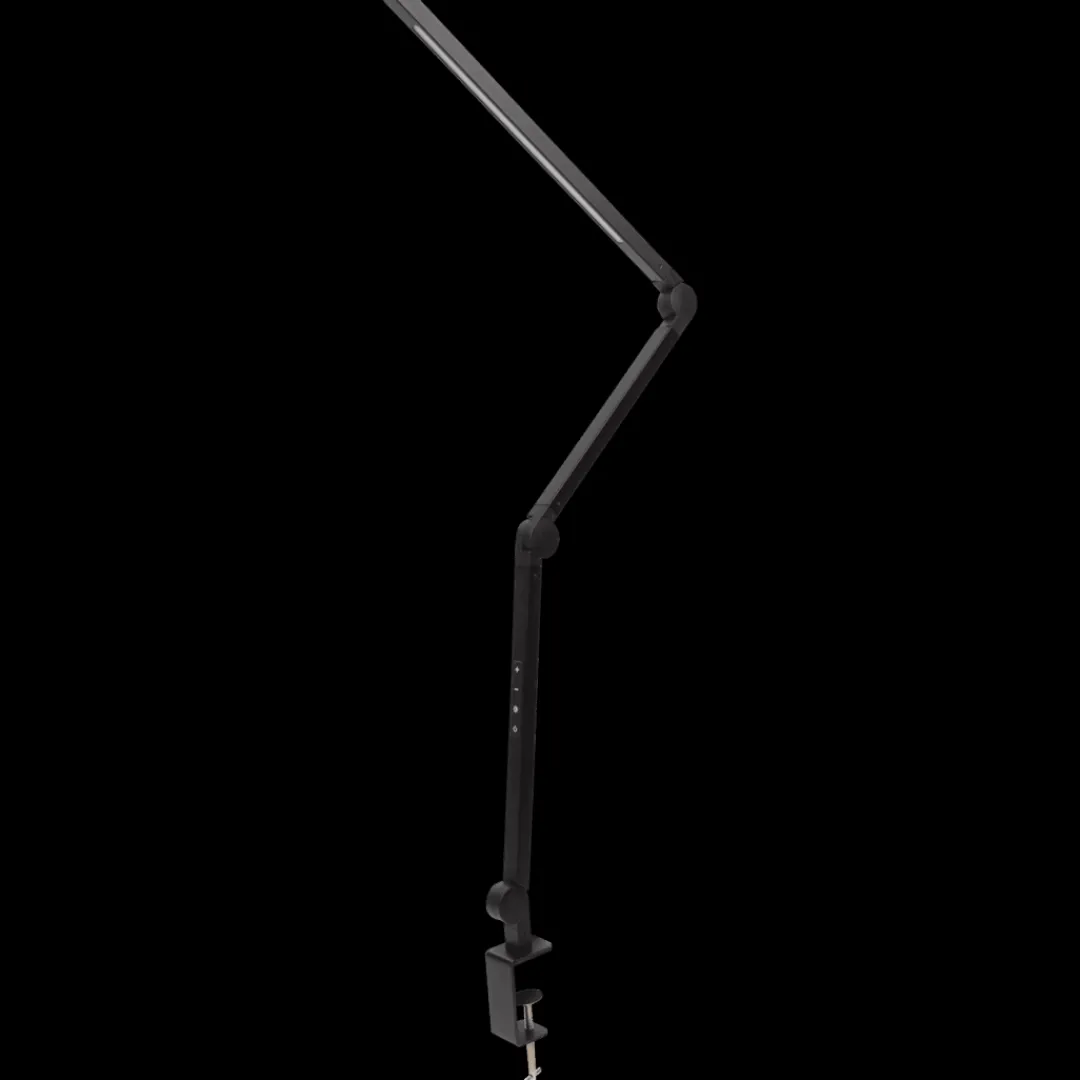 Lampen- Bureaulamp met klem Zwart | Action NL