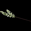 Kunstplanten & -Bloemen- Excellent Flowers kunst-eucalyptus op steel | Action NL