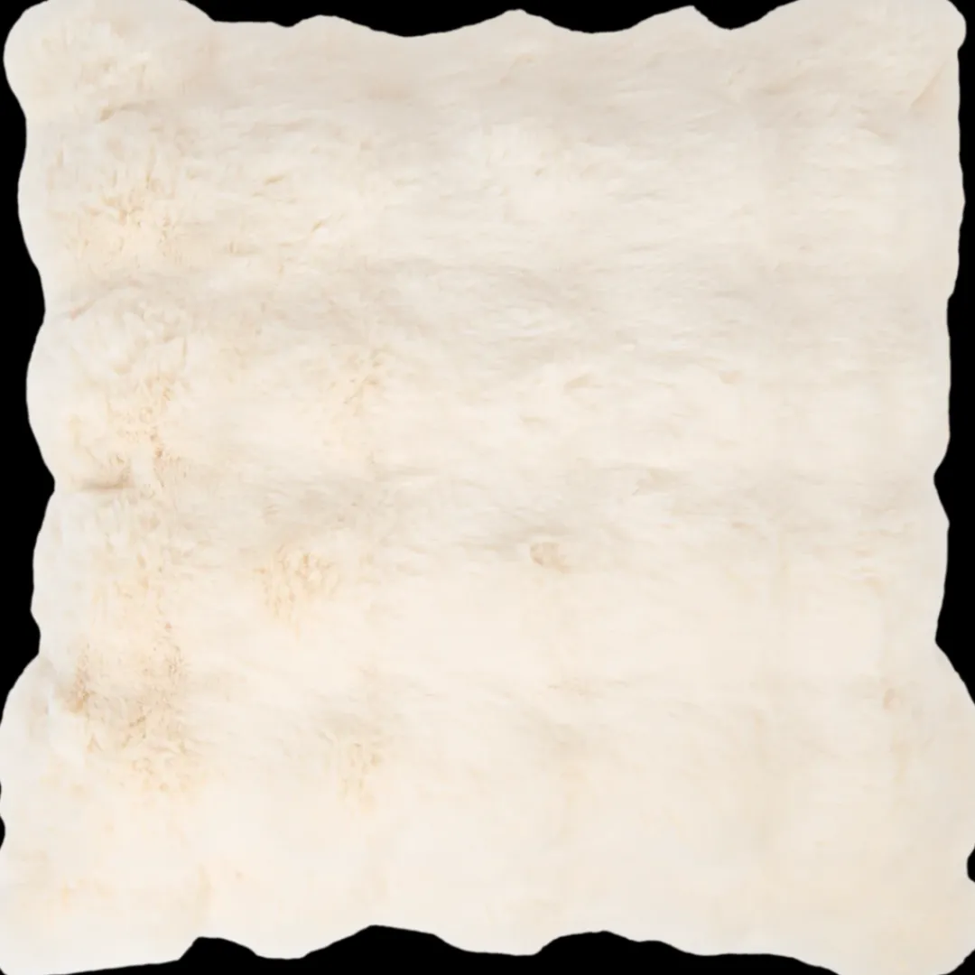 Kussens- Kussenhoes Maxime 45 x 45 cm | Action NL