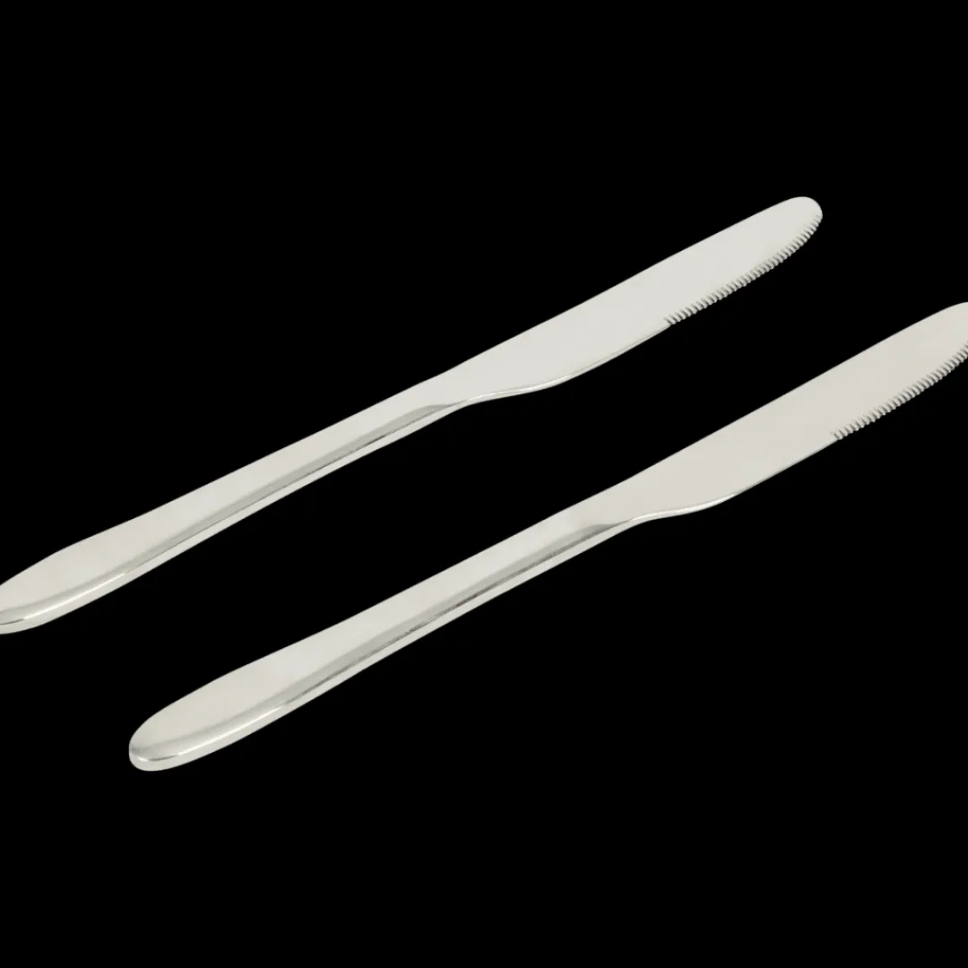 Bestek- Messen Zilver 2 Stuks | Action NL