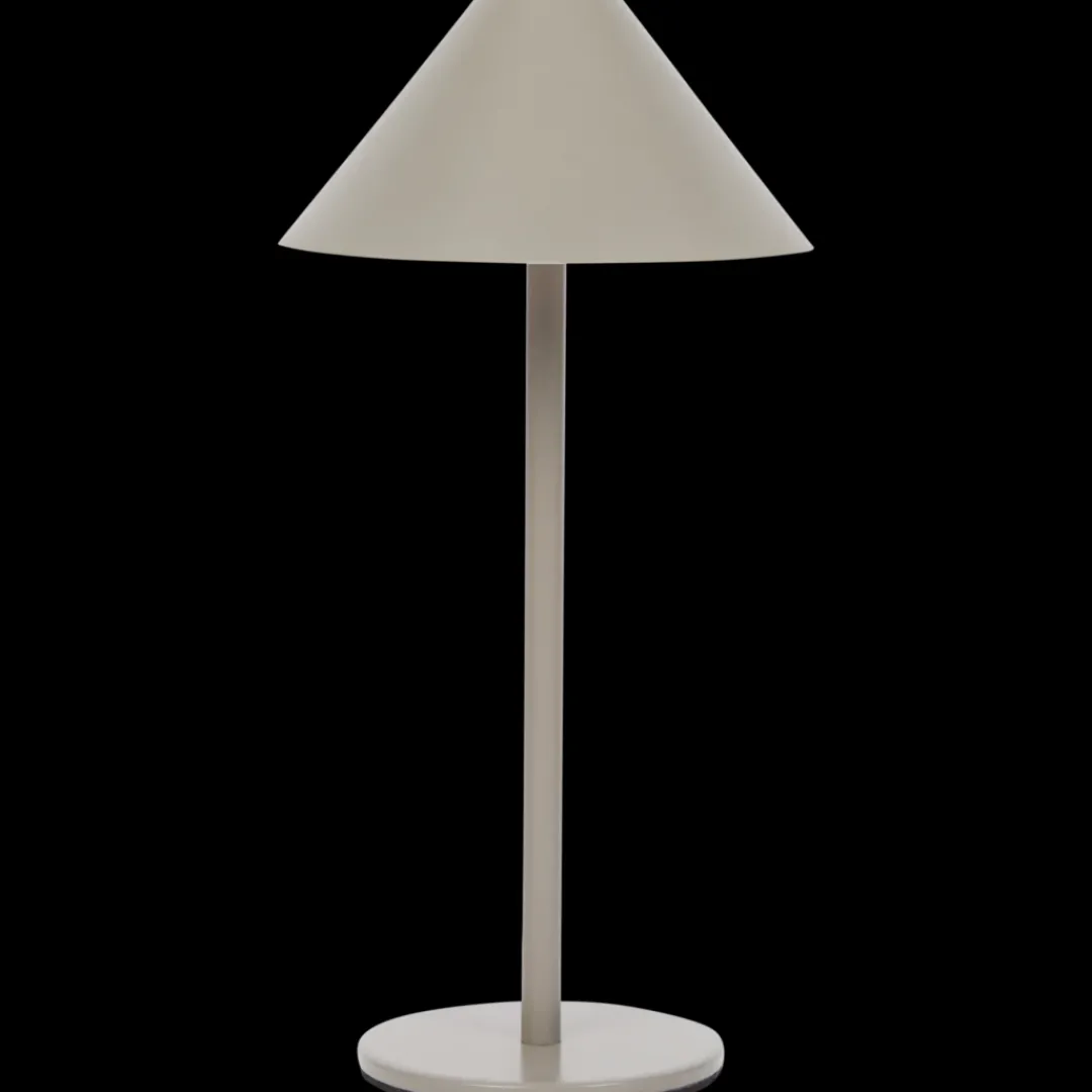Lampen- Oplaadbare tafellamp Metaal | Action NL