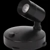Tuindecoratie- Planten spotlight | Action NL