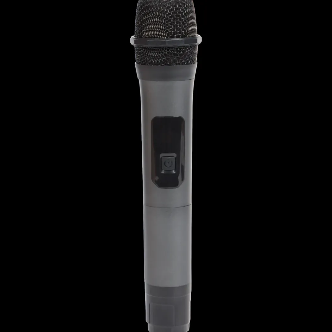 Multimedia Accessoires-Roseland draadloze microfoon | Action NL