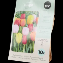 Zaaien & Planten- Tulpenbollen | Action NL